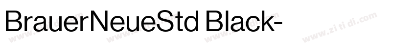 BrauerNeueStd Black字体转换